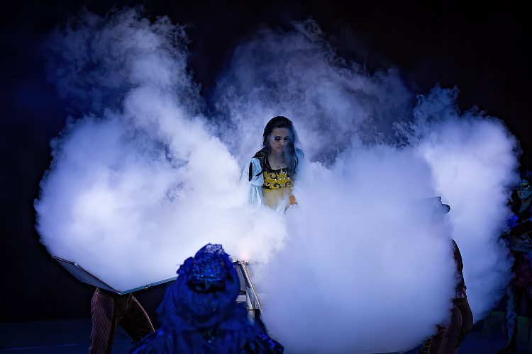 VEGAS SHOW: Калейдоскоп Фантазий - фото 5