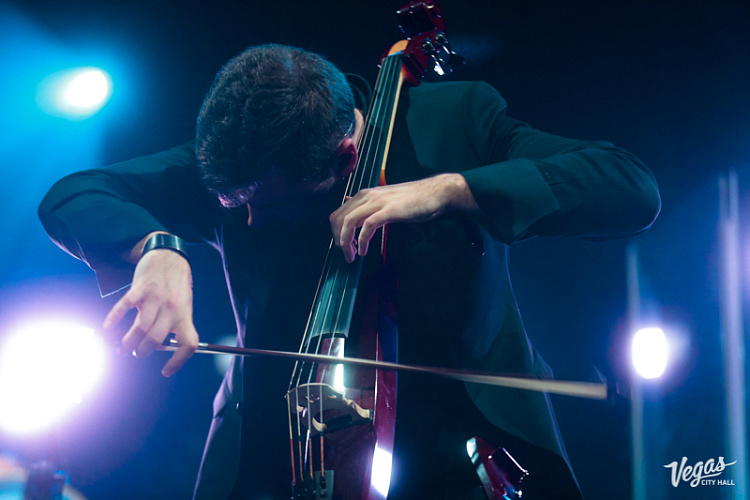 DAGAMBA - фото 56