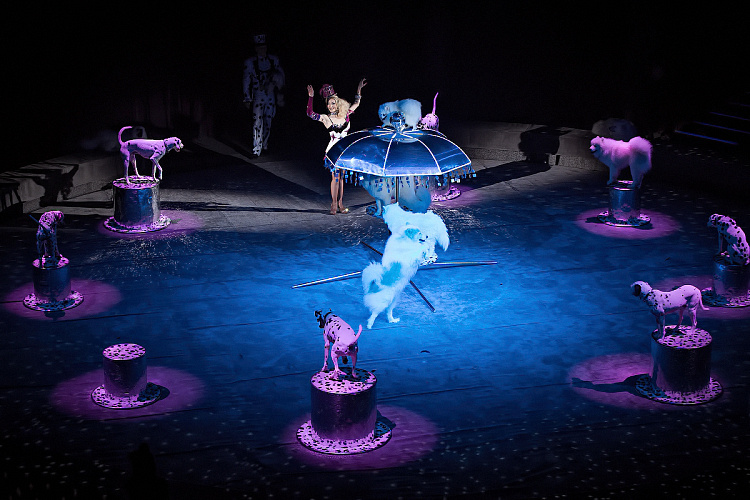 VEGAS SHOW: «АСТА ЛА ВИСТА!» КОРОЛЕВСКОГО ЦИРКА ГИИ ЭРАДЗЕ - фото 25