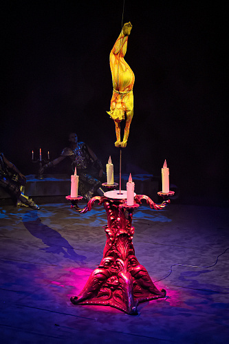 VEGAS SHOW: «АСТА ЛА ВИСТА!» КОРОЛЕВСКОГО ЦИРКА ГИИ ЭРАДЗЕ - фото 13