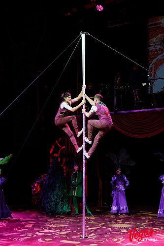 Чиполлино - фото 23