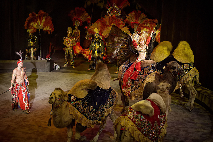 VEGAS SHOW: «АСТА ЛА ВИСТА!» КОРОЛЕВСКОГО ЦИРКА ГИИ ЭРАДЗЕ - фото 55