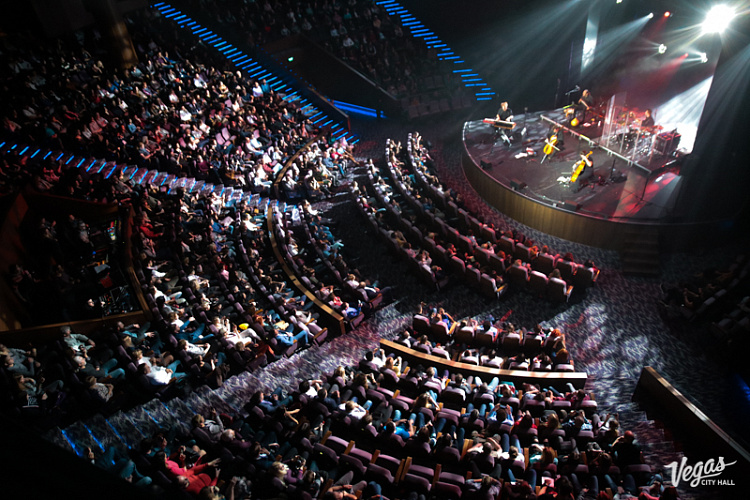 DAGAMBA - фото 11