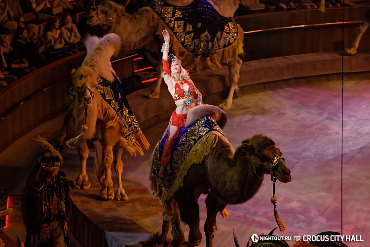 Открытие Vegas City Hall - фото 67