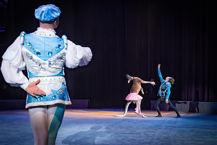 VEGAS SHOW: Калейдоскоп Фантазий - фото 36