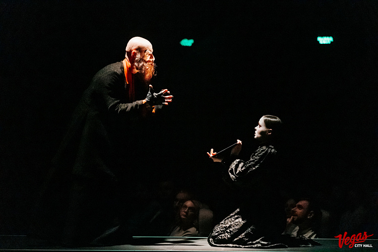 Музыкальный шоу-спектакль «12 Стульев» - фото 21