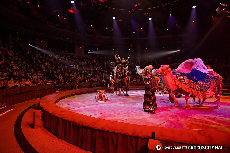 Открытие Vegas City Hall - фото 64