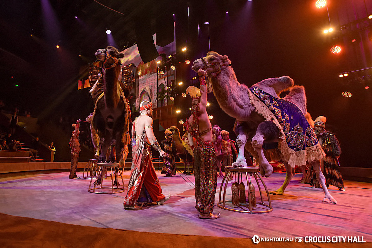 Открытие Vegas City Hall - фото 62
