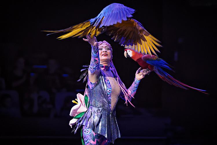 VEGAS SHOW: Калейдоскоп Фантазий - фото 32