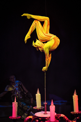 VEGAS SHOW: «АСТА ЛА ВИСТА!» КОРОЛЕВСКОГО ЦИРКА ГИИ ЭРАДЗЕ - фото 3