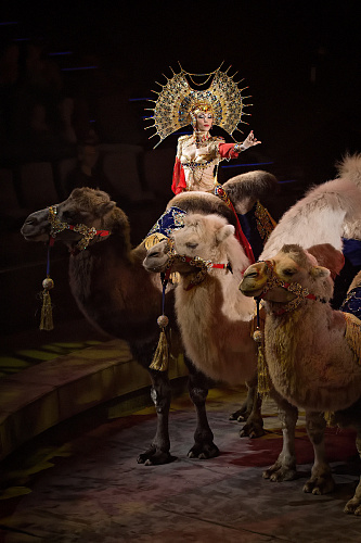 VEGAS SHOW: «АСТА ЛА ВИСТА!» КОРОЛЕВСКОГО ЦИРКА ГИИ ЭРАДЗЕ - фото 56