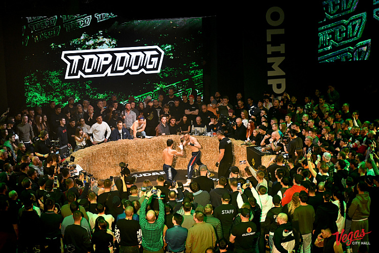 Кулачный бой TOP DOG 17 - фото 9