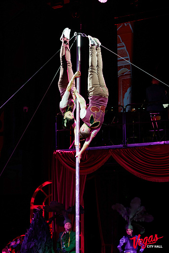 Чиполлино - фото 11