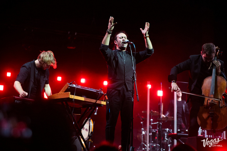 DAGAMBA - фото 16