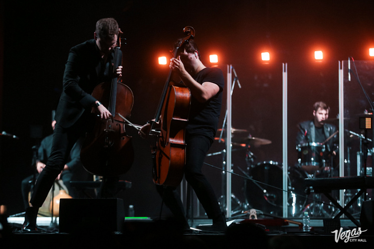 DAGAMBA - фото 28