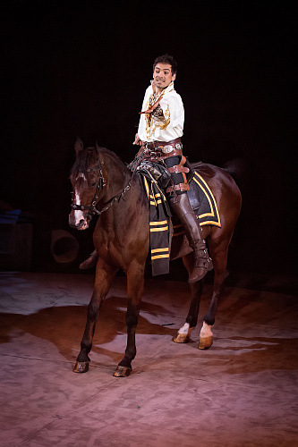 VEGAS SHOW: «АСТА ЛА ВИСТА!» КОРОЛЕВСКОГО ЦИРКА ГИИ ЭРАДЗЕ - фото 15