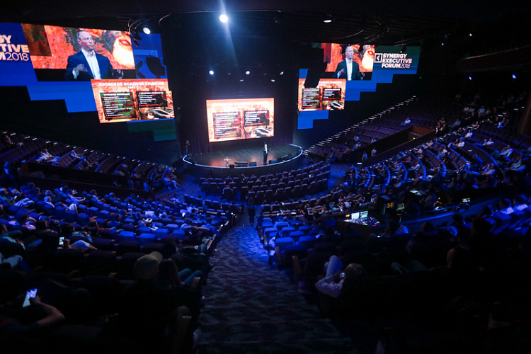 Synergy Executive Forum - фото 42