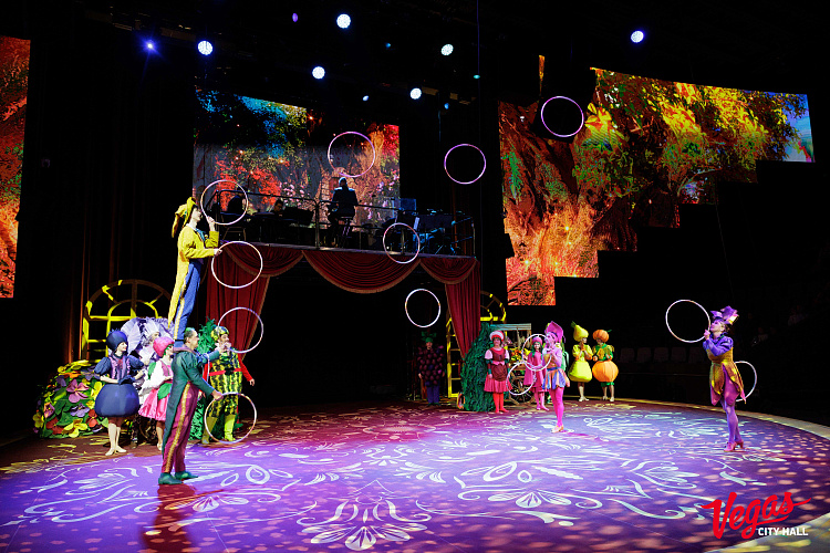 Чиполлино - фото 17