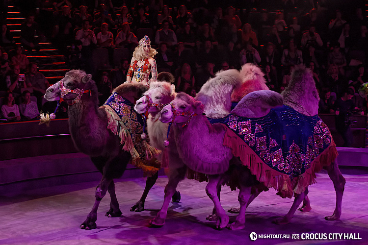 Открытие Vegas City Hall - фото 65