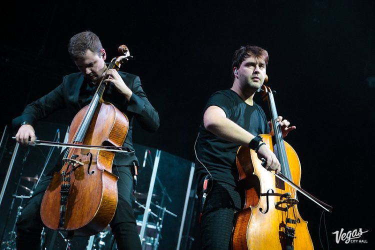 DAGAMBA - фото 47