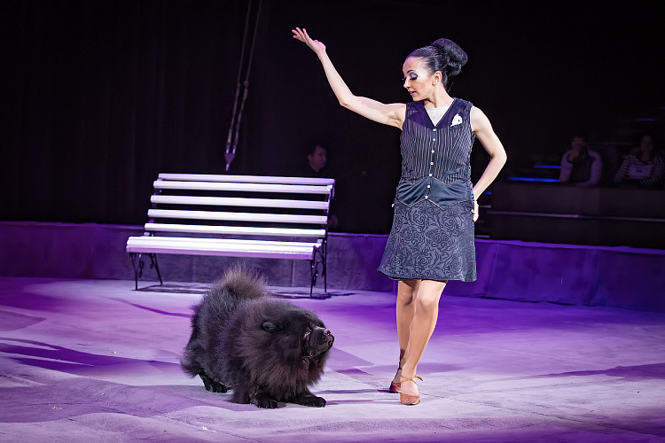 VEGAS SHOW: Калейдоскоп Фантазий - фото 48