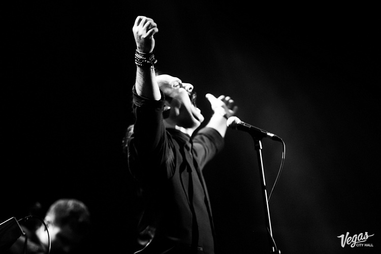 DAGAMBA - фото 15