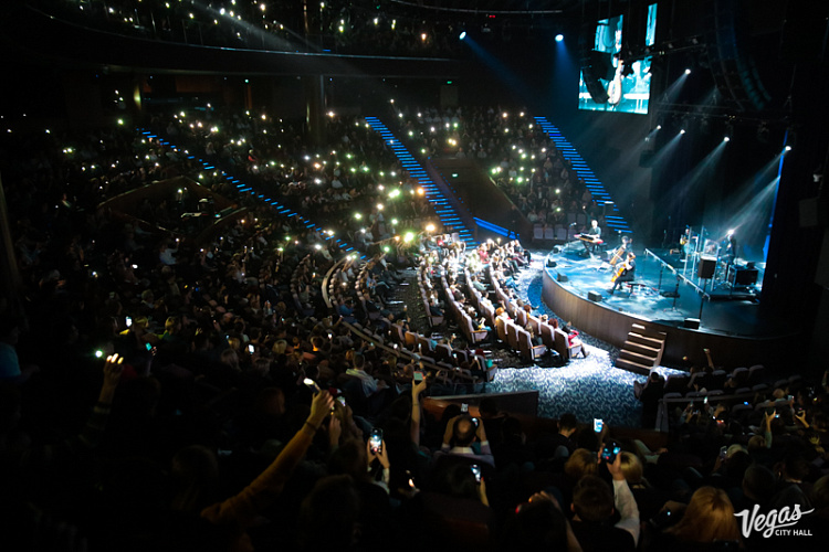 DAGAMBA - фото 13