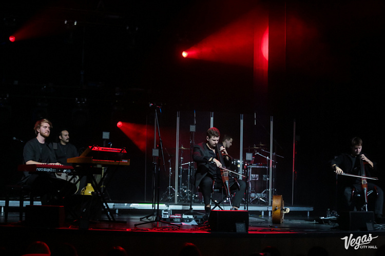 DAGAMBA - фото 5