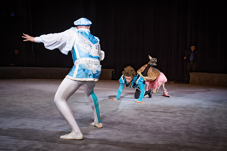 VEGAS SHOW: Калейдоскоп Фантазий - фото 37