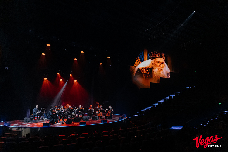 Музыка вселенной Гарри Поттера. Hightime Orchestra  - фото 16