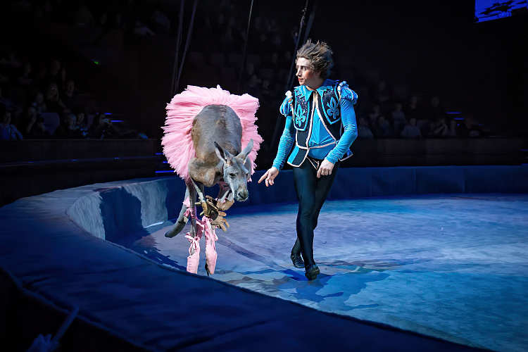 VEGAS SHOW: Калейдоскоп Фантазий - фото 35