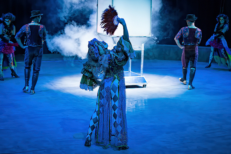 VEGAS SHOW: Калейдоскоп Фантазий - фото 3