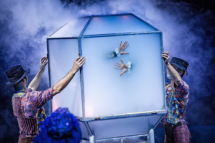 VEGAS SHOW: Калейдоскоп Фантазий - фото 4