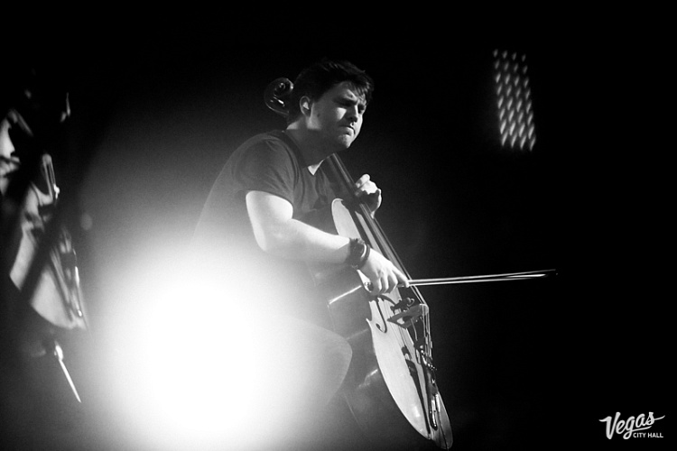 DAGAMBA - фото 22