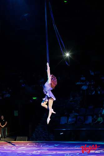 Чиполлино - фото 16