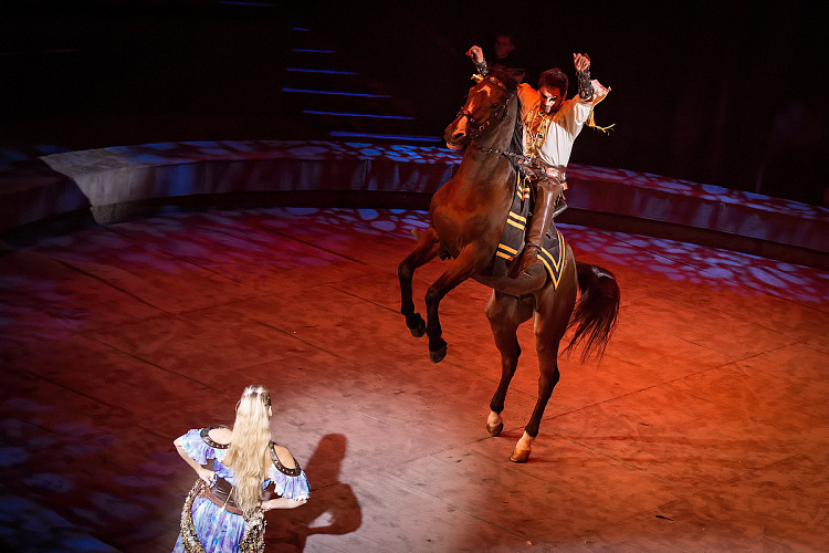 VEGAS SHOW: «АСТА ЛА ВИСТА!» КОРОЛЕВСКОГО ЦИРКА ГИИ ЭРАДЗЕ - фото 7