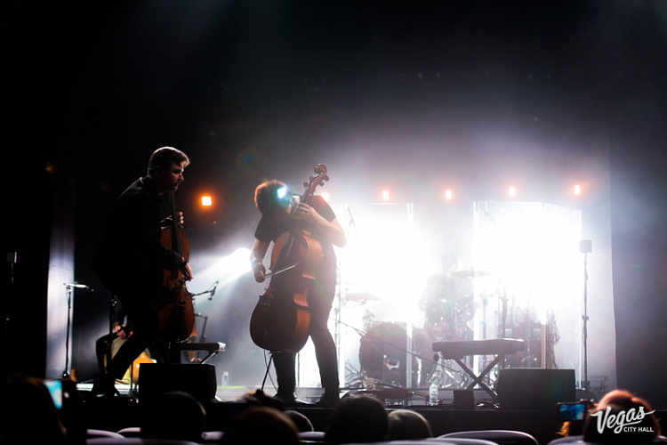 DAGAMBA - фото 27