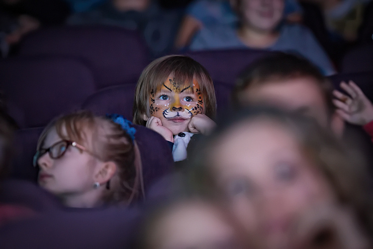 VEGAS SHOW: Калейдоскоп Фантазий - фото 40