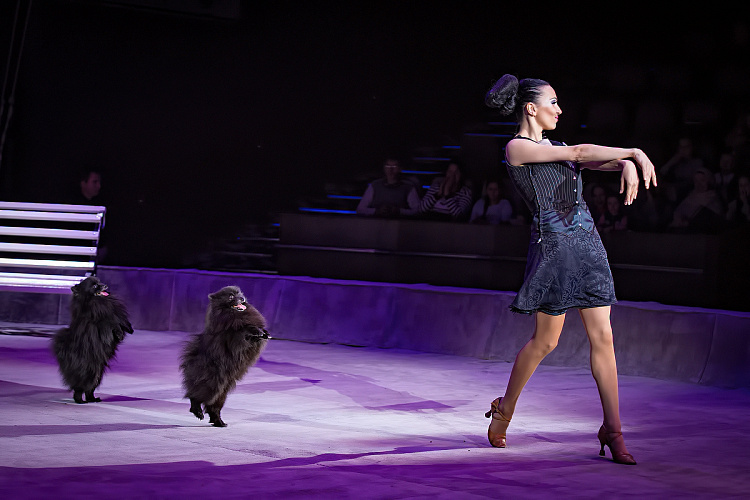 VEGAS SHOW: Калейдоскоп Фантазий - фото 49