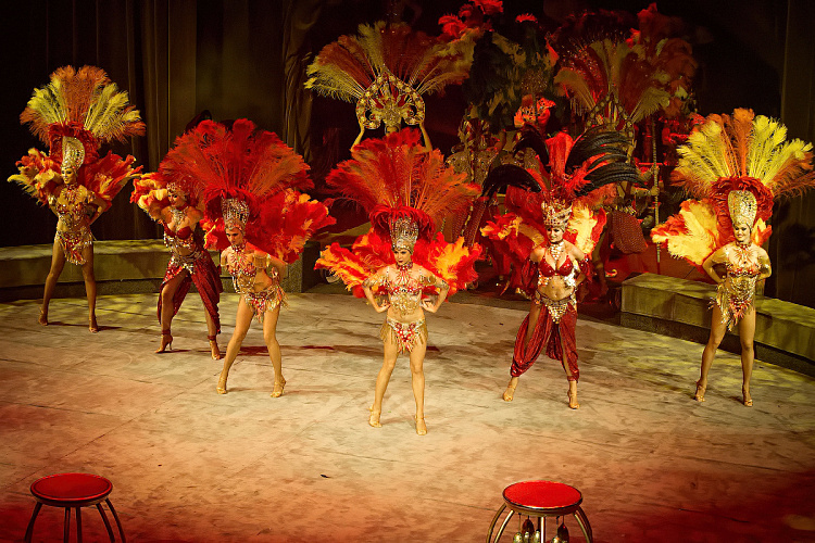 VEGAS SHOW: «АСТА ЛА ВИСТА!» КОРОЛЕВСКОГО ЦИРКА ГИИ ЭРАДЗЕ - фото 52