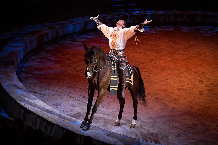 VEGAS SHOW: «АСТА ЛА ВИСТА!» КОРОЛЕВСКОГО ЦИРКА ГИИ ЭРАДЗЕ - фото 42