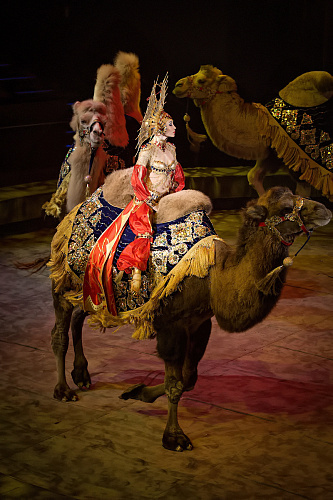 VEGAS SHOW: «АСТА ЛА ВИСТА!» КОРОЛЕВСКОГО ЦИРКА ГИИ ЭРАДЗЕ - фото 2