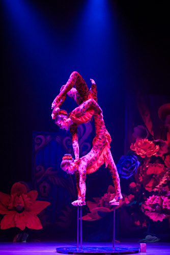 VEGAS SHOW: театрально-цирковой спектакль “АЛИСА&quot; - фото 16