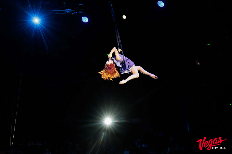 Чиполлино - фото 26