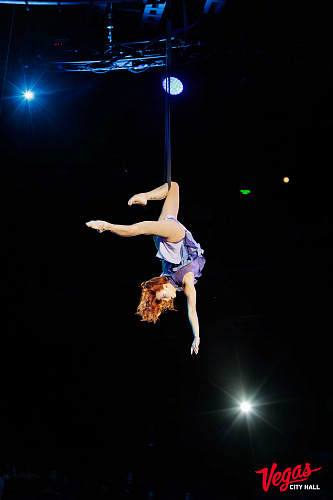 Чиполлино - фото 15