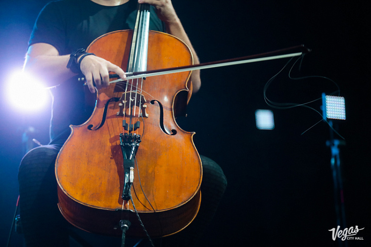 DAGAMBA - фото 55