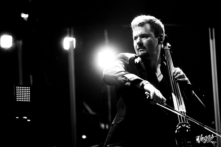 DAGAMBA - фото 20