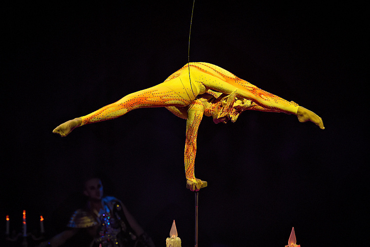 VEGAS SHOW: «АСТА ЛА ВИСТА!» КОРОЛЕВСКОГО ЦИРКА ГИИ ЭРАДЗЕ - фото 31