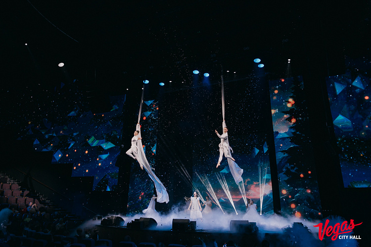 Детский музыкальный спектакль «В поисках Рождества» - фото 33