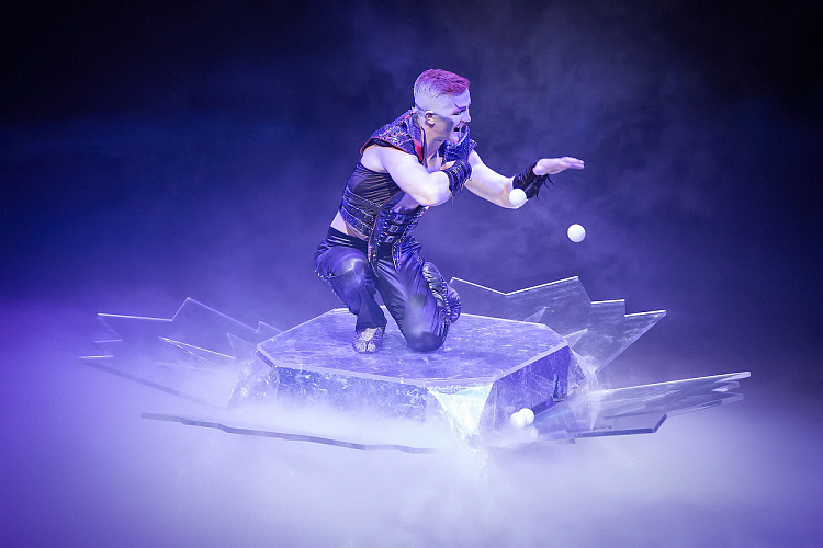 VEGAS SHOW: «АСТА ЛА ВИСТА!» КОРОЛЕВСКОГО ЦИРКА ГИИ ЭРАДЗЕ - фото 32